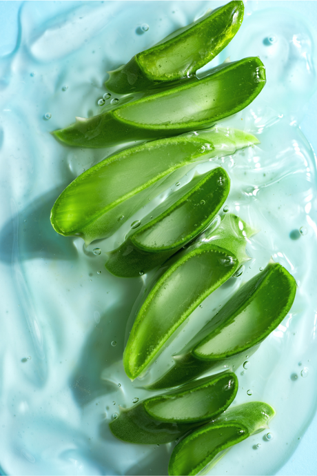 Aloe Vera: Nature's Remedy for Radiant Hair and Glowing Skin